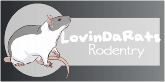 LovinDaRats Rodentry